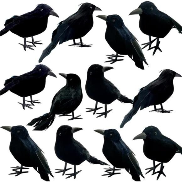 12 Pieces Feathered Black Crows - Realistic Handmade Ravens for Halloween Decor - Picture 1 of 8